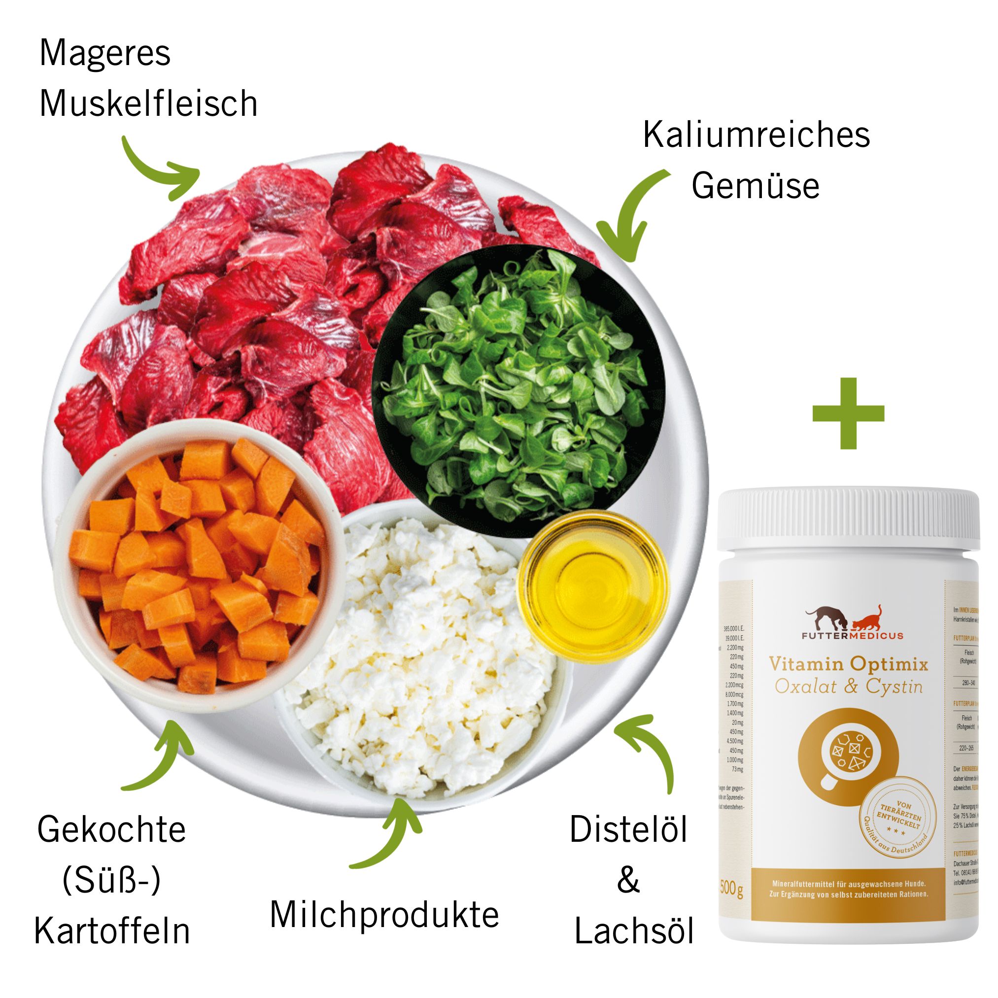 cystinsteine hund ernährung rezept